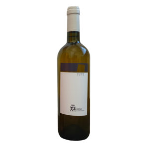 Bianco Campanino 2017